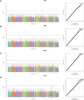 Multivariate GWAS of Structural Dental Anomalies and Dental Caries in a Multi-Ethnic Cohort